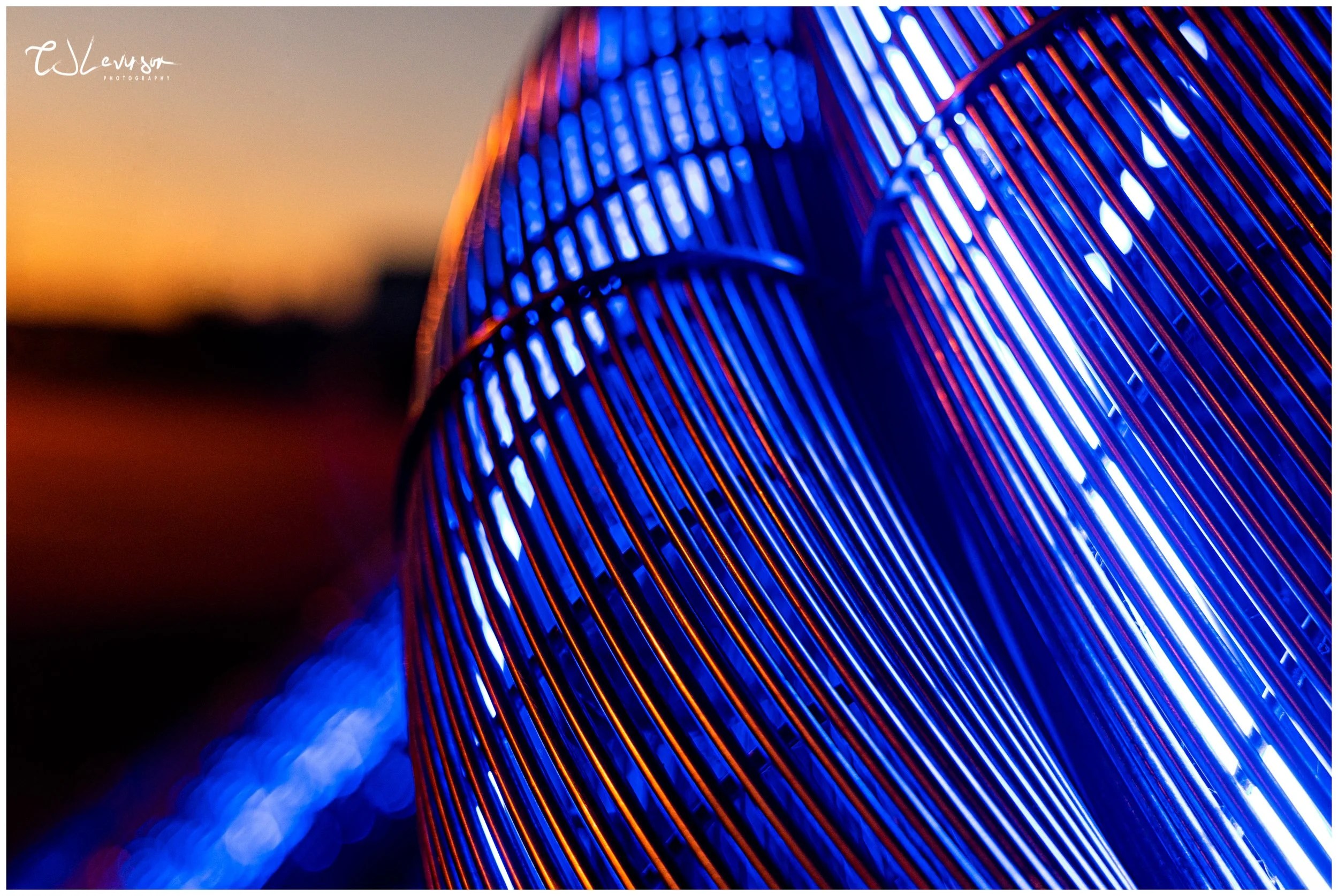 Honeysuckle Drive Photowalk