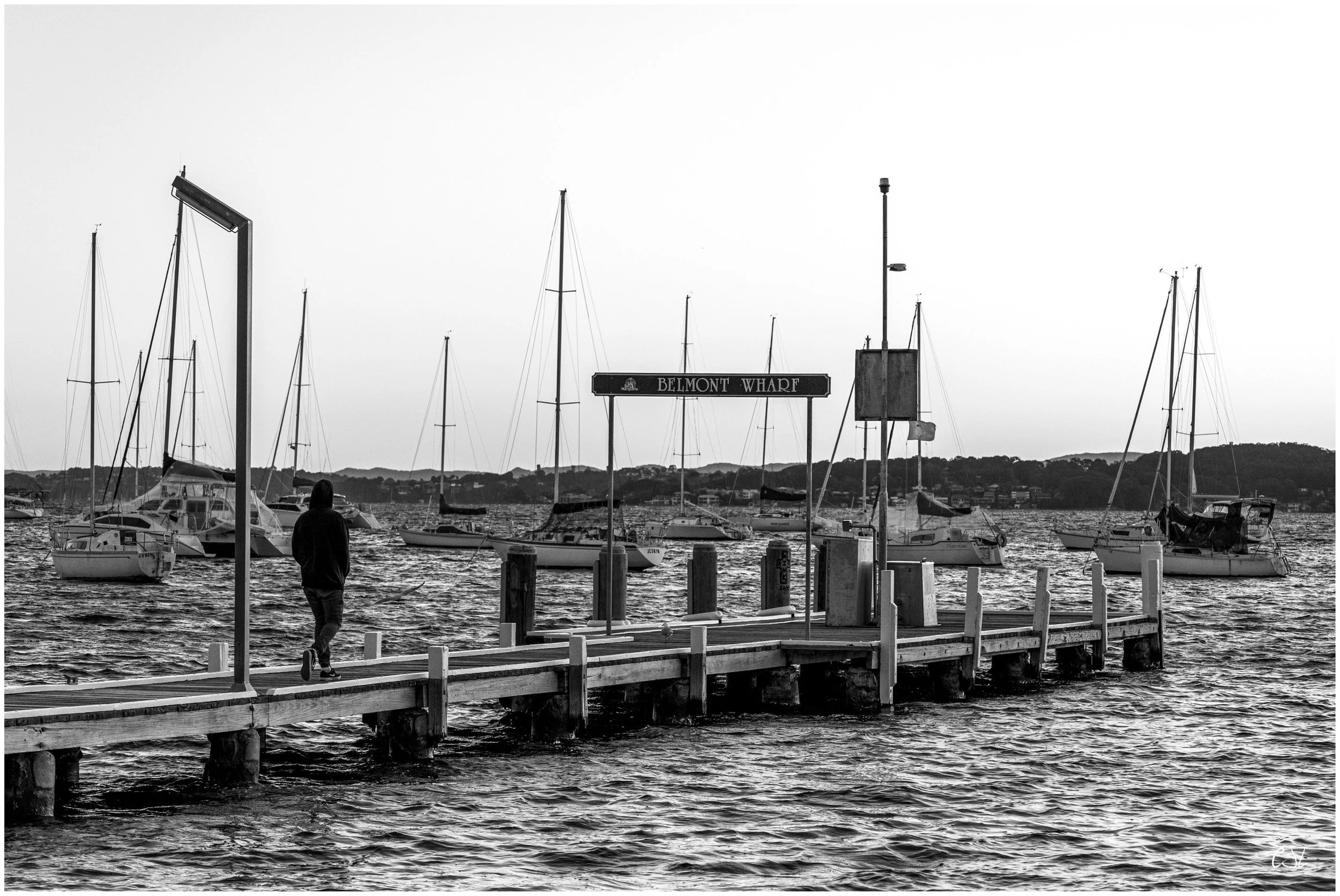 Belmont in Black & White