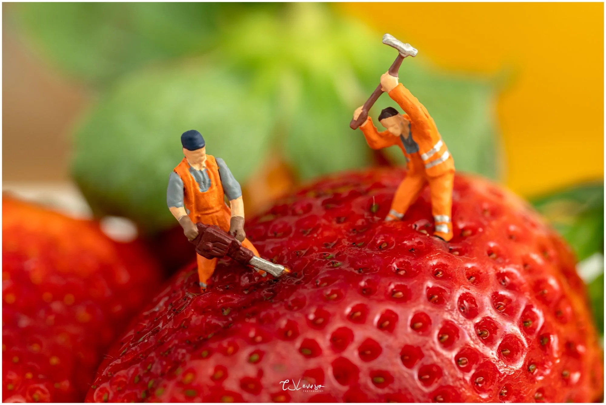Working in the Strawberry Fields