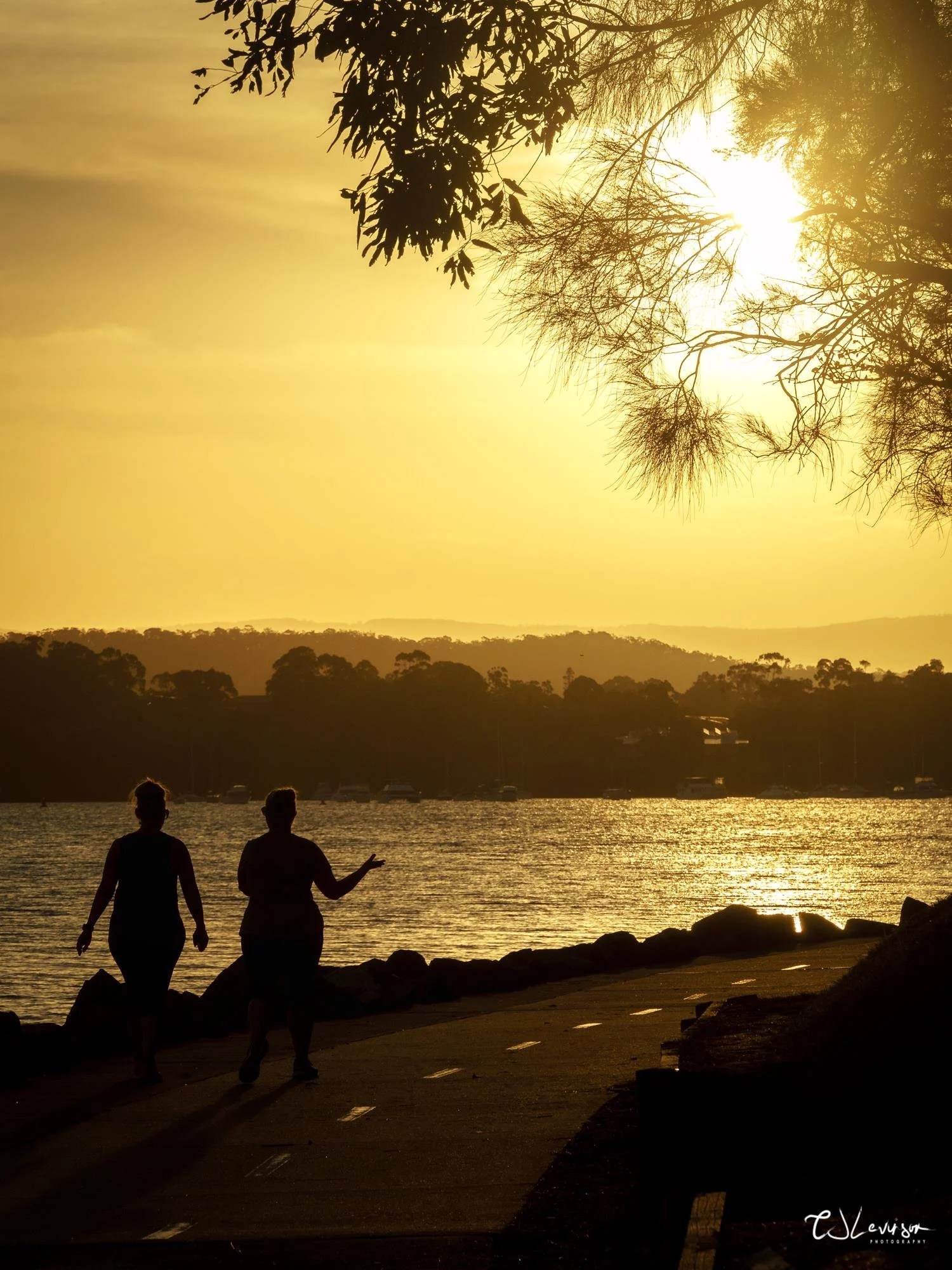 Between Speers Point and Warners Bay
