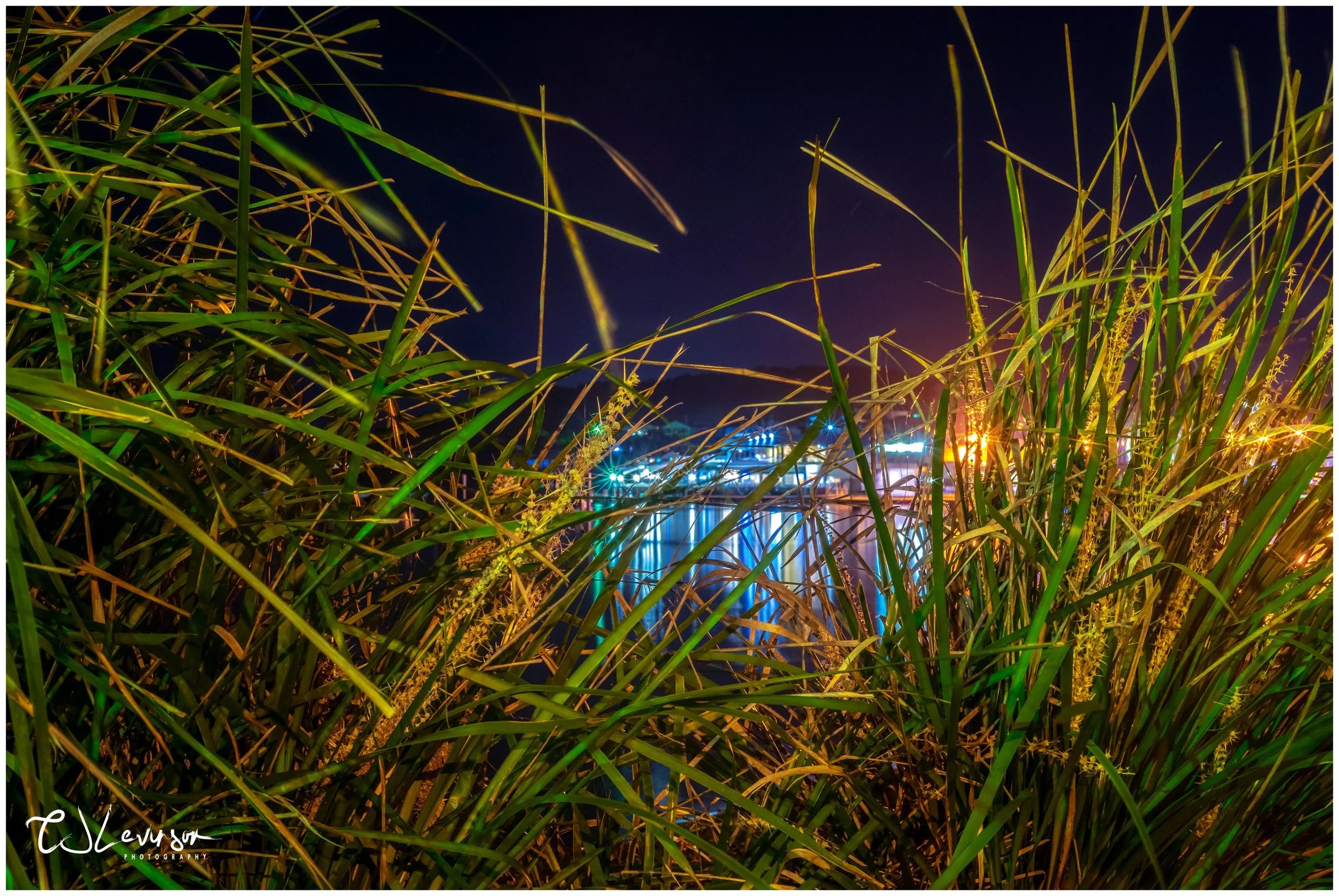 Towards the Belmont 16s