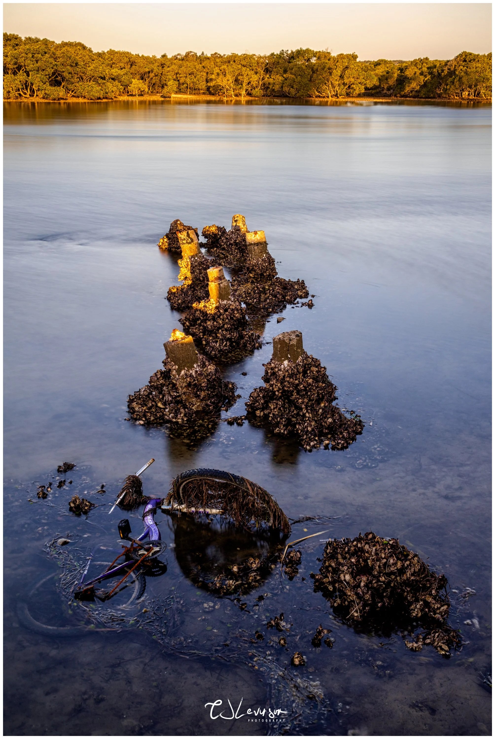 Swansea Sunset Relics